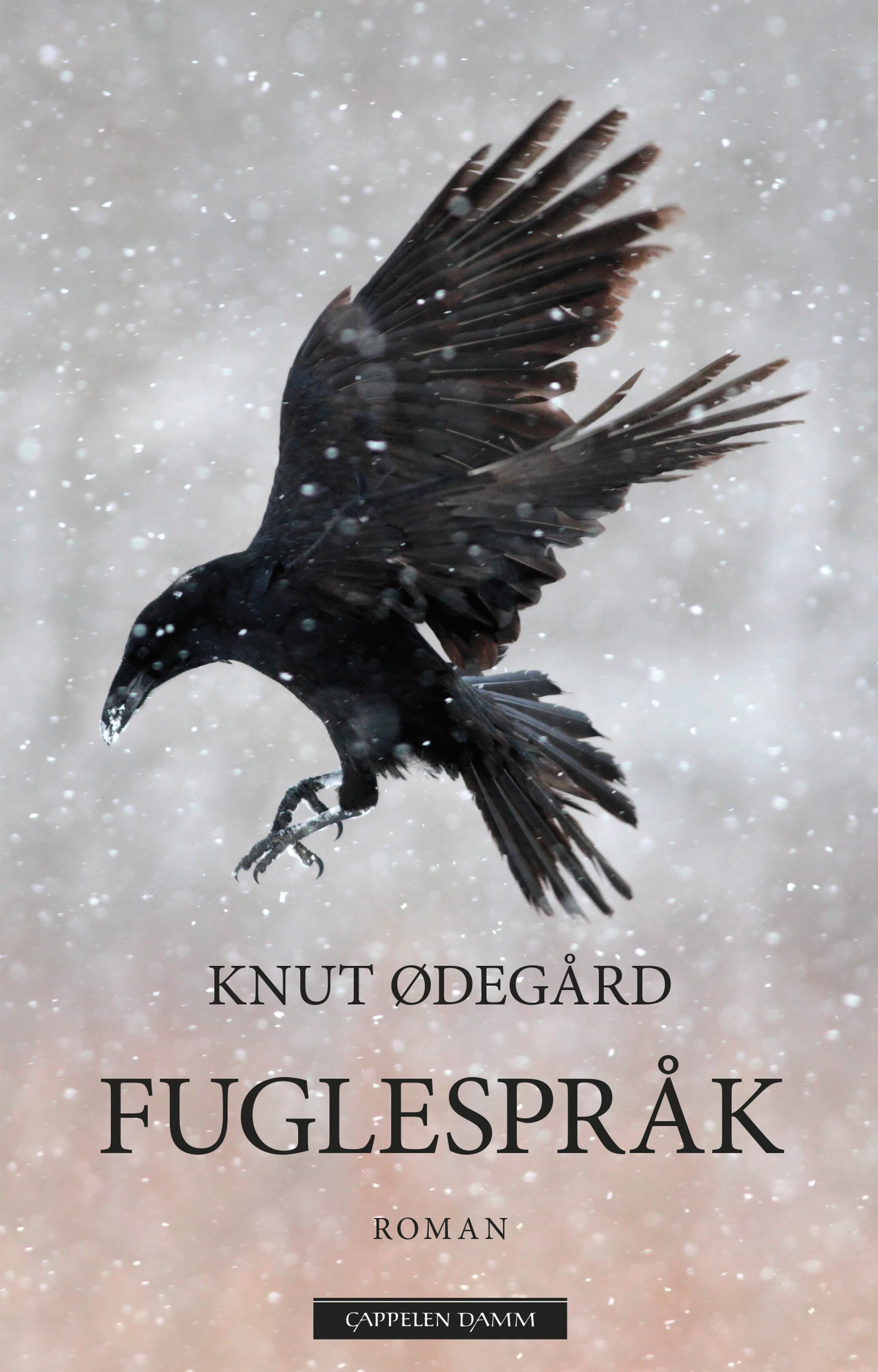 Omslag Fuglespråk av Knut Ødegård (Ebok)