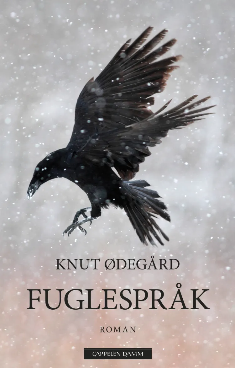 Omslag Fuglespråk av Knut Ødegård (Ebok)