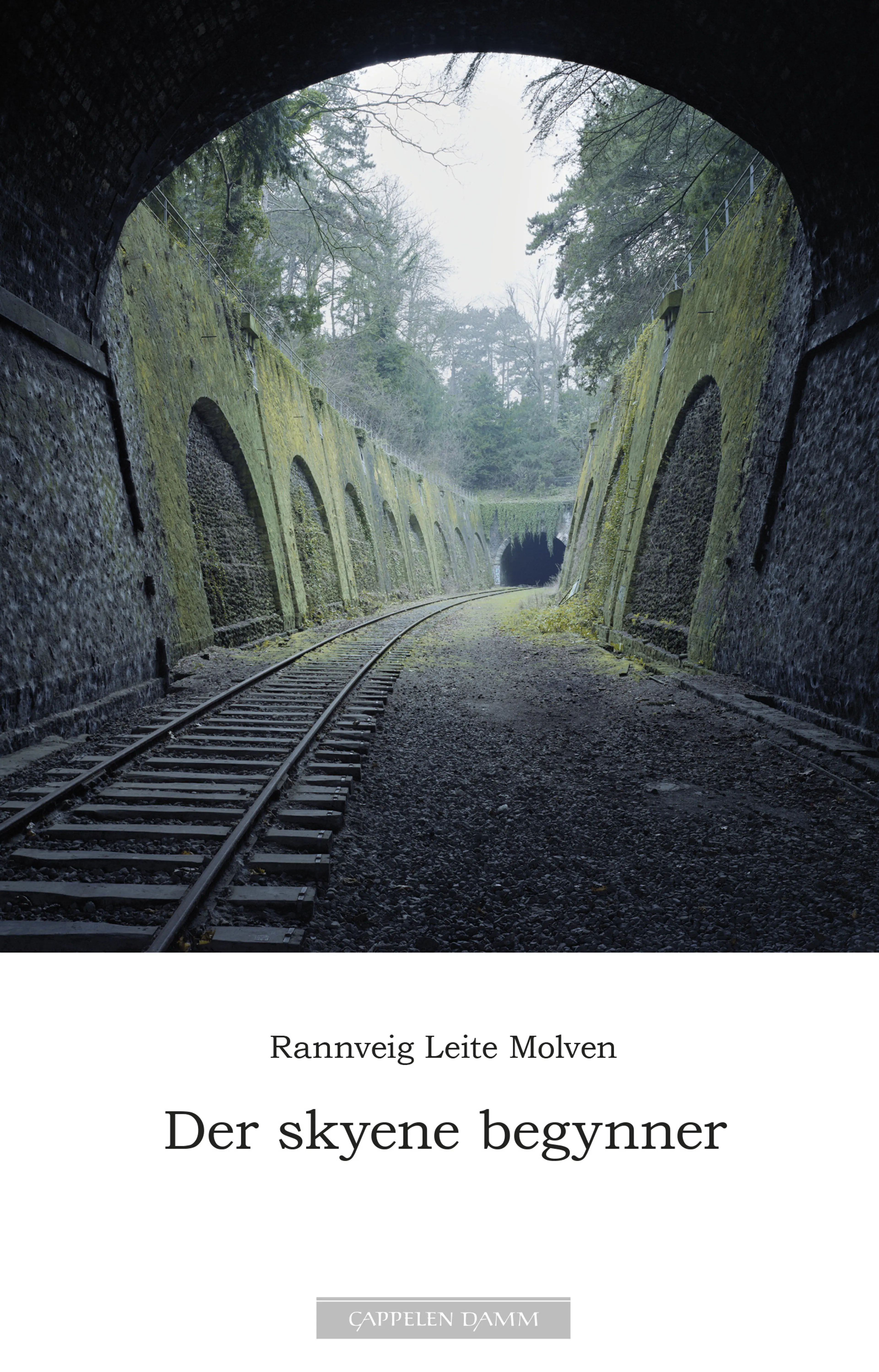 Omslag Der skyene begynner av Rannveig Leite Molven (Ebok)