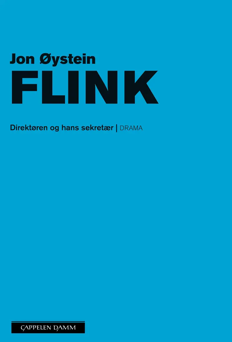 Omslag Direktøren og hans sekretær av Jon Øystein Flink (Heftet)