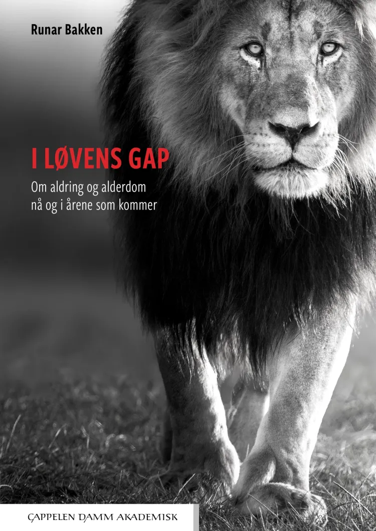 Omslag I løvens gap av Runar Bakken (Heftet)