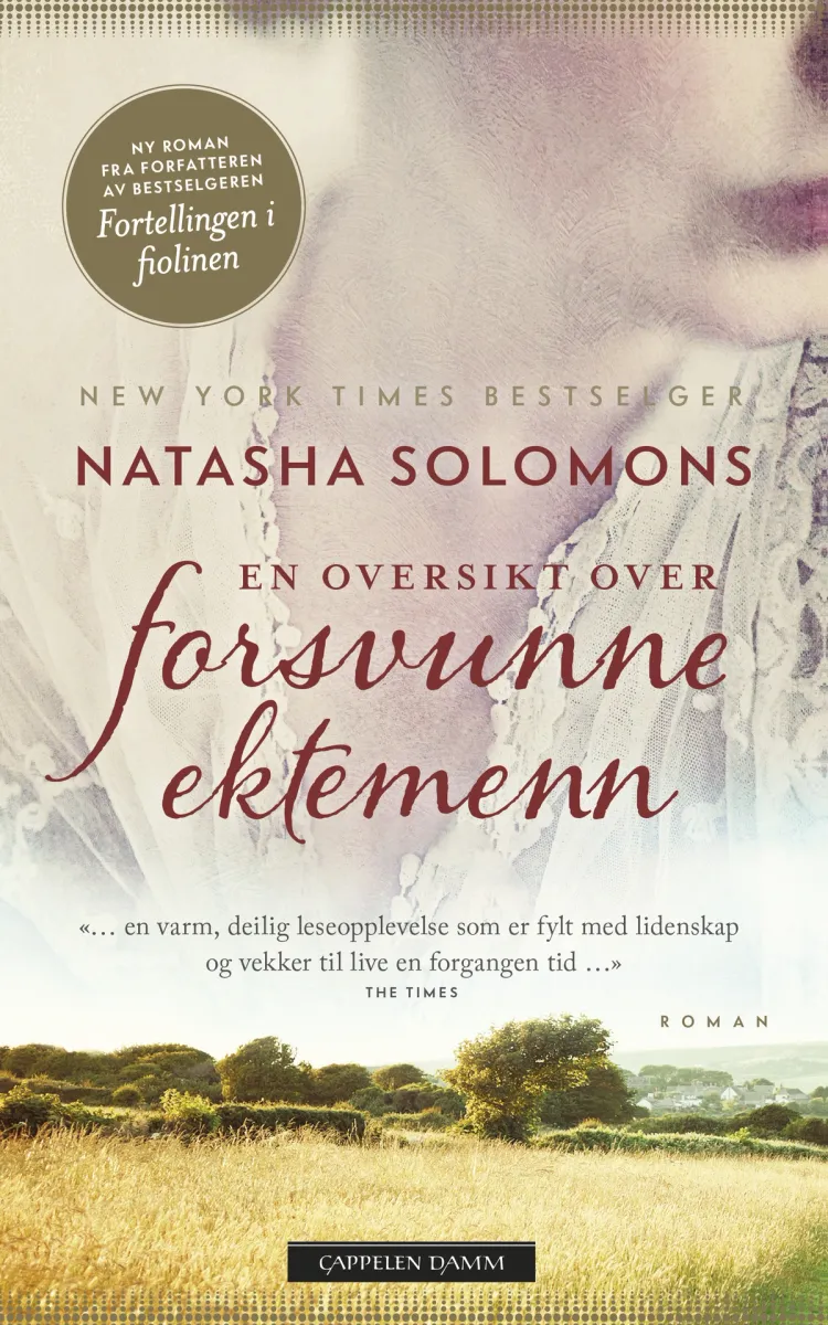 Omslag En oversikt over forsvunne ektemenn av Natasha Solomons (Heftet)