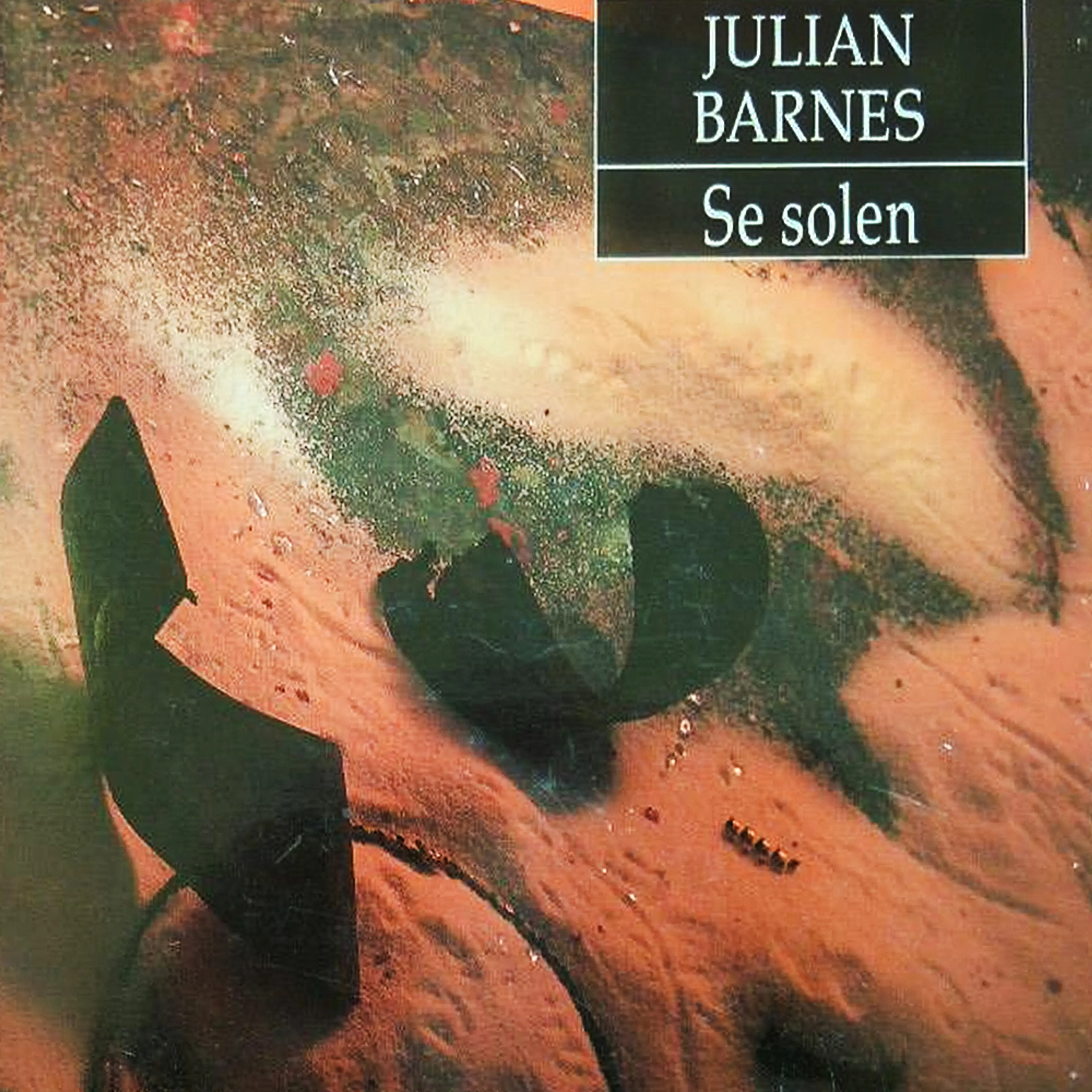 Omslag Se solen av Julian Barnes (Lydbok)