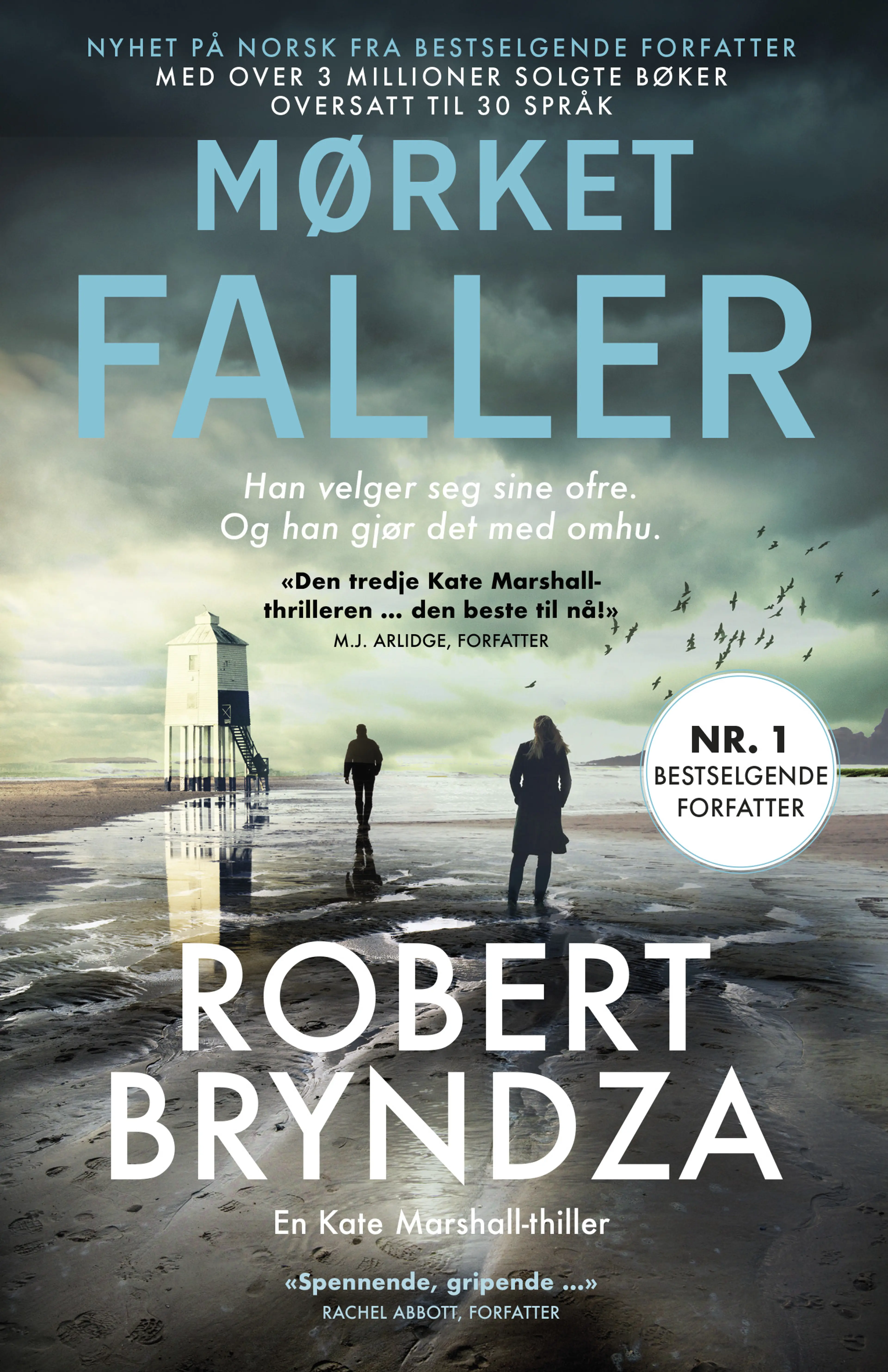 Omslag Mørket faller av Robert Bryndza (Ebok)
