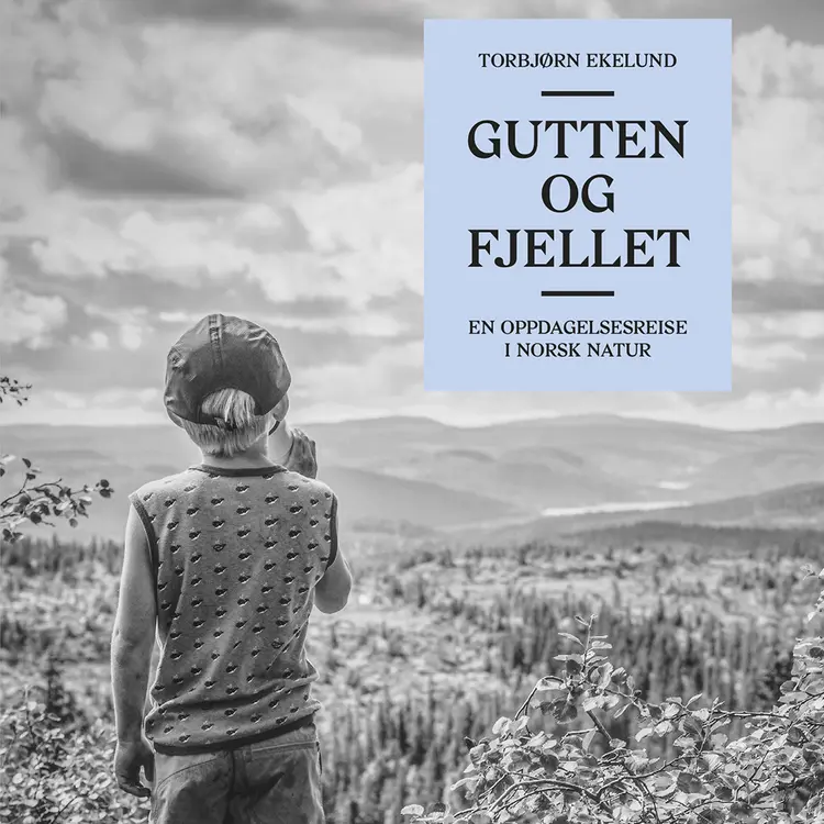 Omslag Gutten og fjellet av Torbjørn Ekelund (Lydbok)