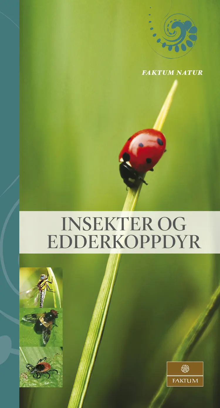 Omslag Insekter og edderkoppdyr av George McGavin (Innbundet)