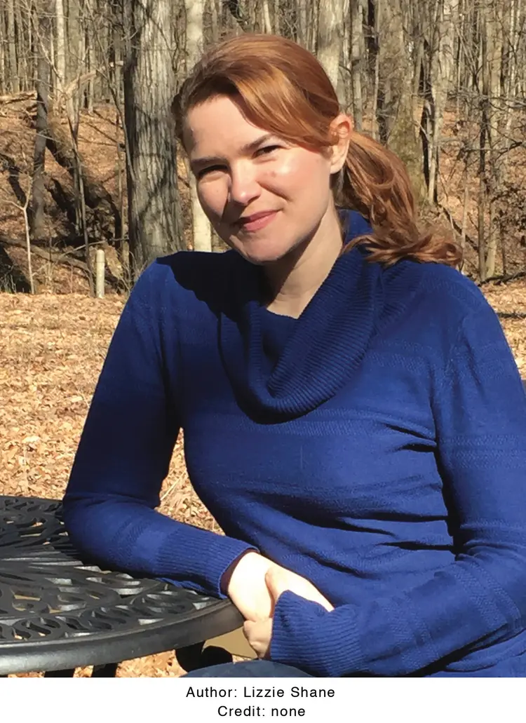 Bidragsyter Lizzie Shane