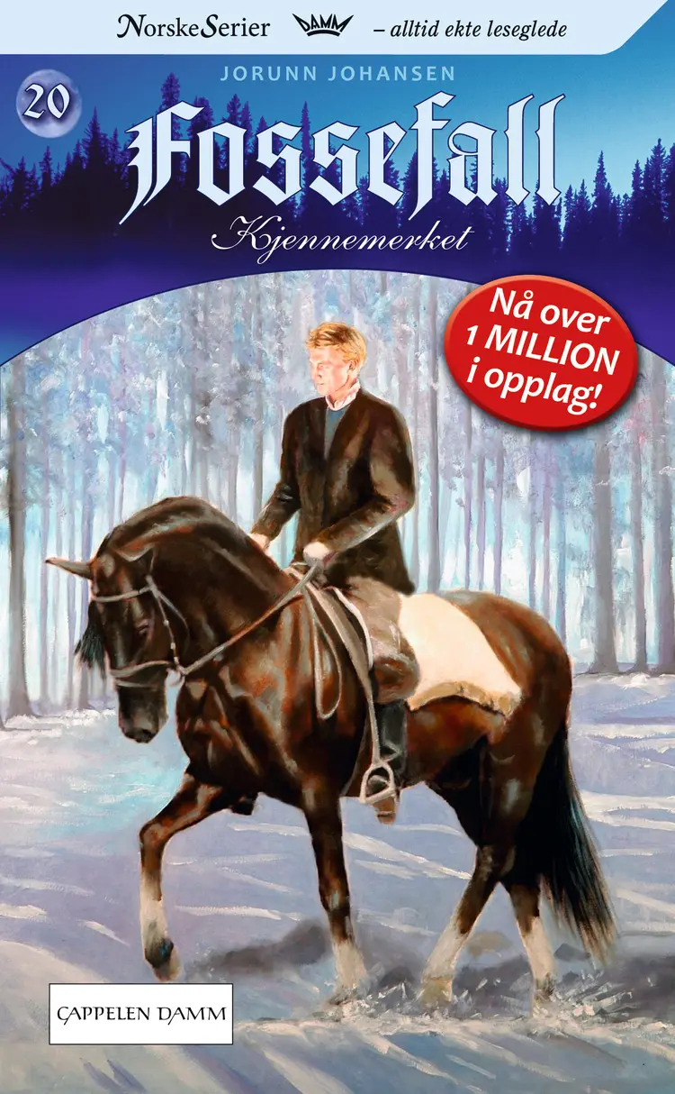 Omslag Fossefall 20 av Jorunn Johansen (Ebok)
