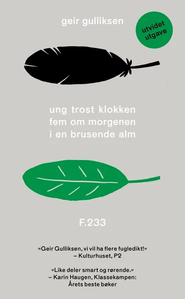 Omslag Ung trost klokken fem om morgenen i en brusende alm av Geir Gulliksen (Heftet)