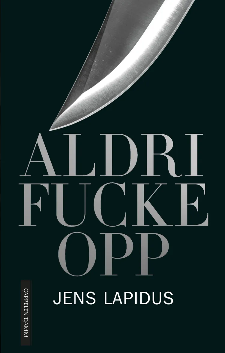 Omslag Aldri fucke opp av Jens Lapidus (Ebok)