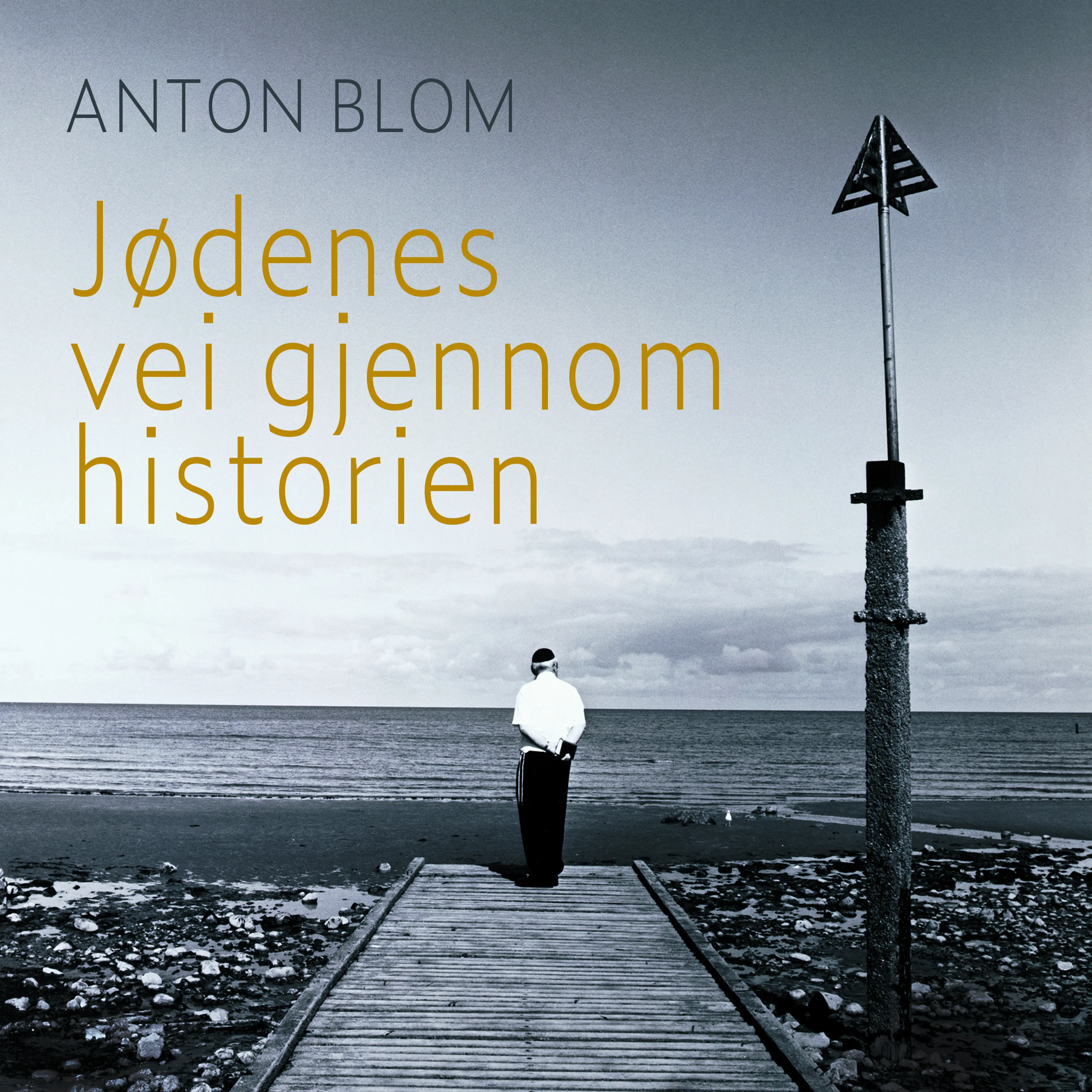 Omslag Jødenes vei gjennom historien av Anton Blom (Lydbok)