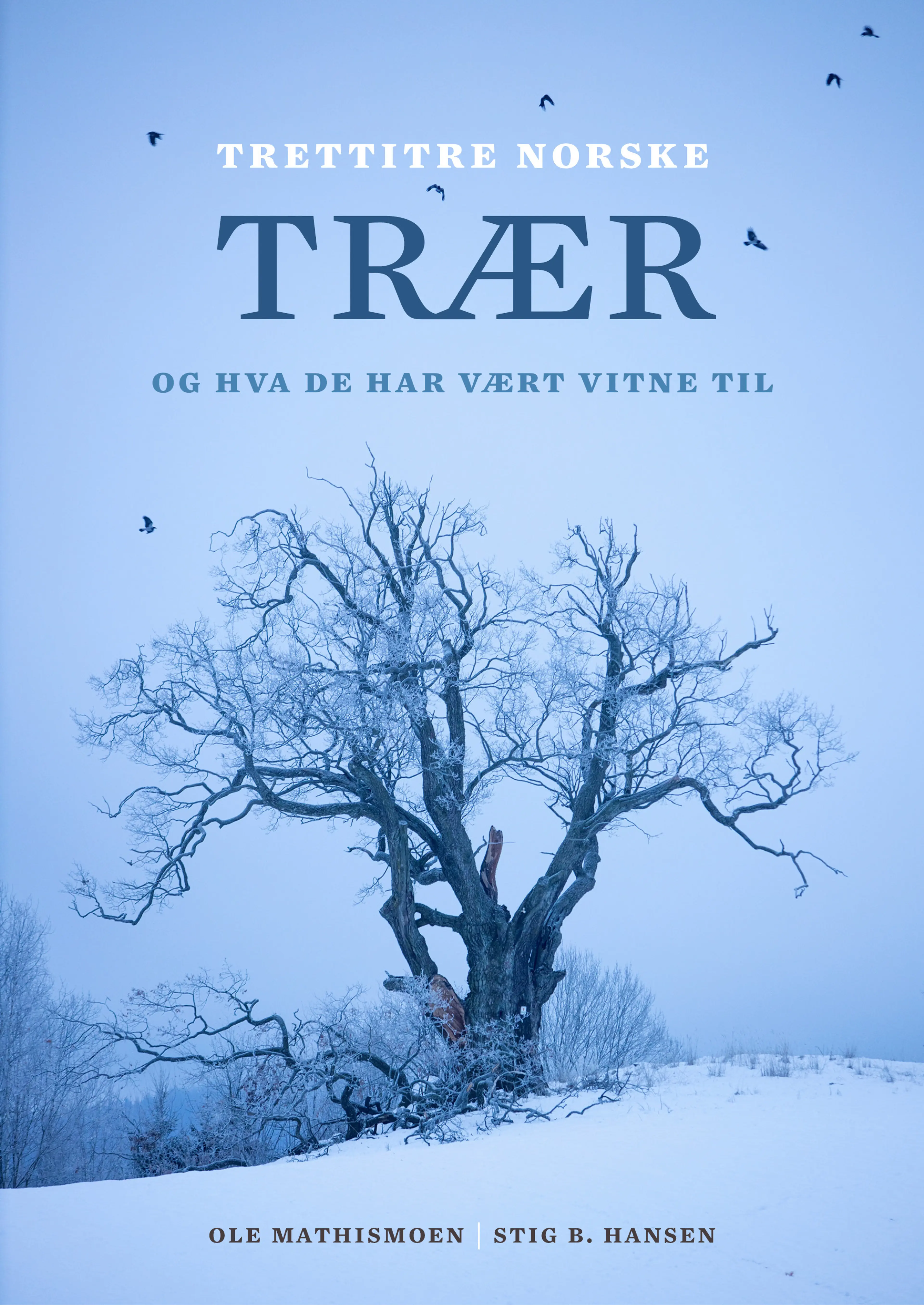 Omslag Trettitre norske trær av Ole Mathismoen (Innbundet)