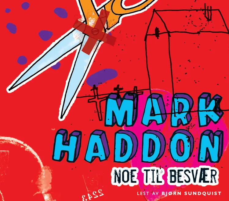Omslag Noe til besvær av Mark Haddon (Lydbok)