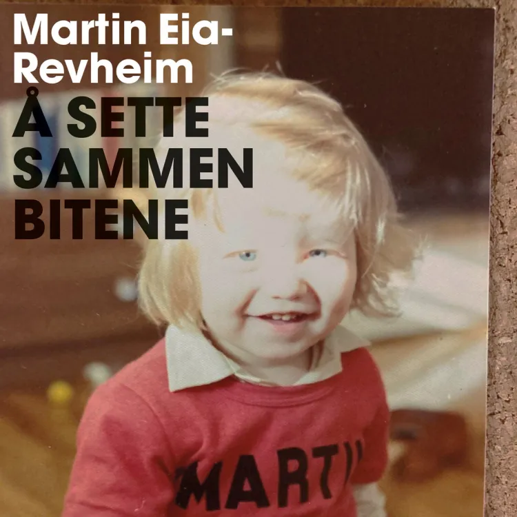 Omslag Å sette sammen bitene - Min historie om vold, skam og reparasjon av Martin Eia-Revheim (Lydbok)