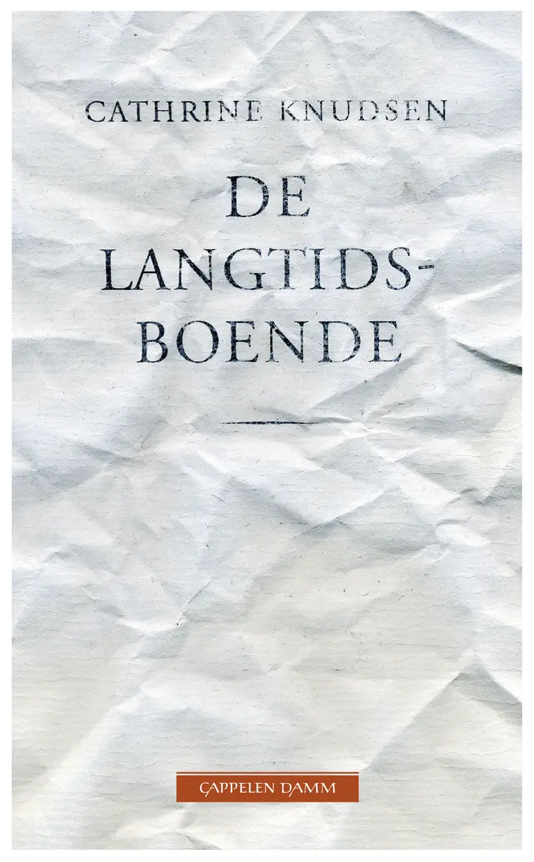 Omslag De langtidsboende av Cathrine Knudsen (Ebok)