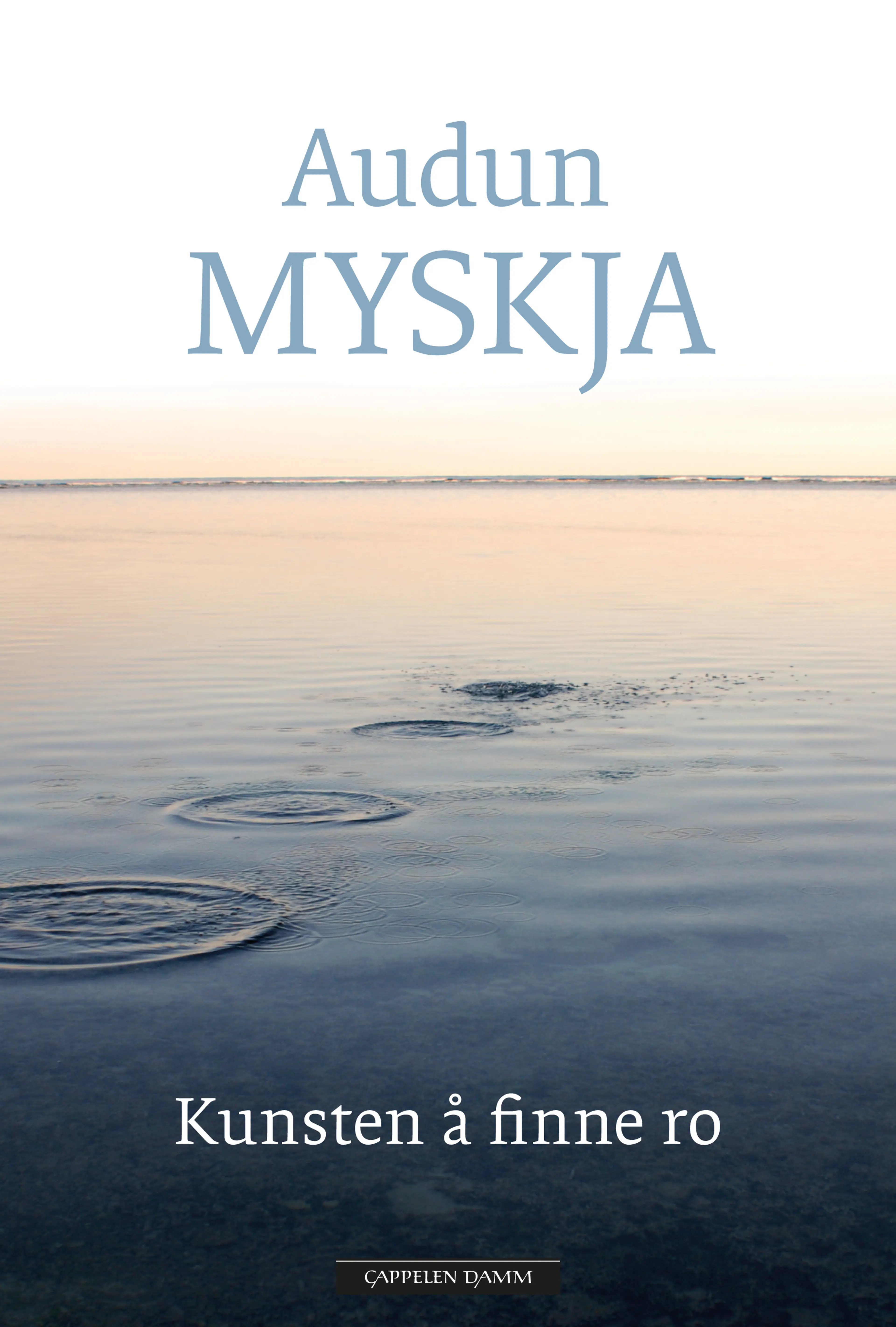 Omslag Kunsten å finne ro av Audun Myskja (Innbundet)