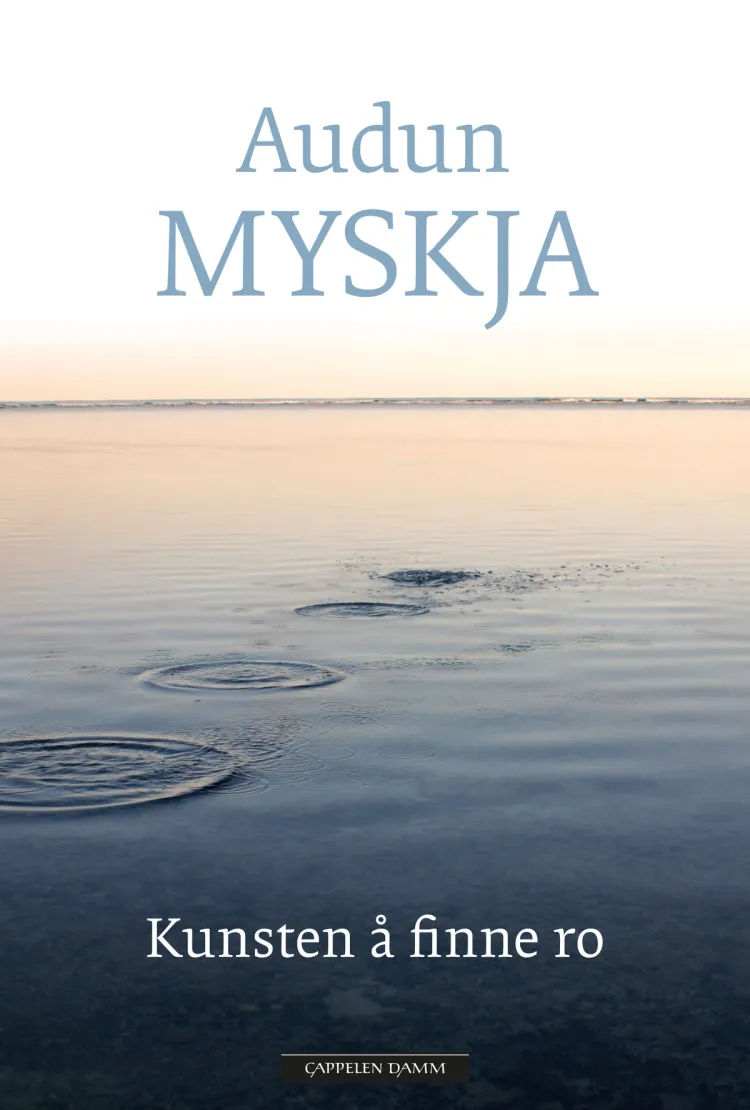 Omslag Kunsten å finne ro av Audun Myskja (Innbundet)