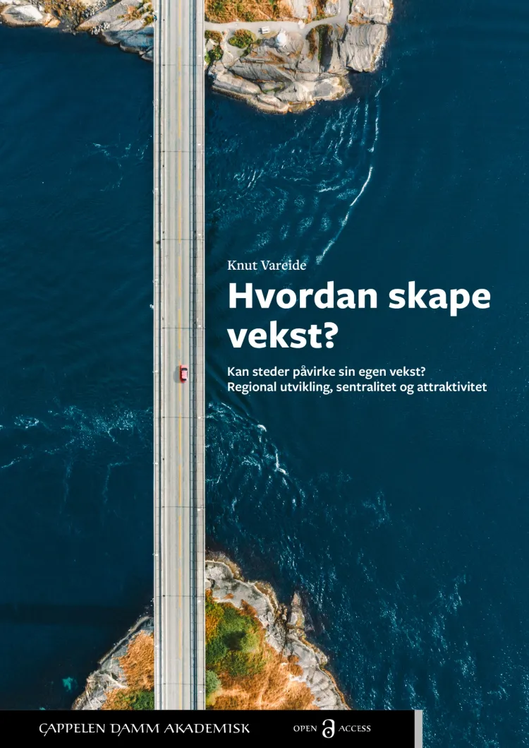 Omslag Hvordan skape vekst? av Knut Vareide (Heftet)
