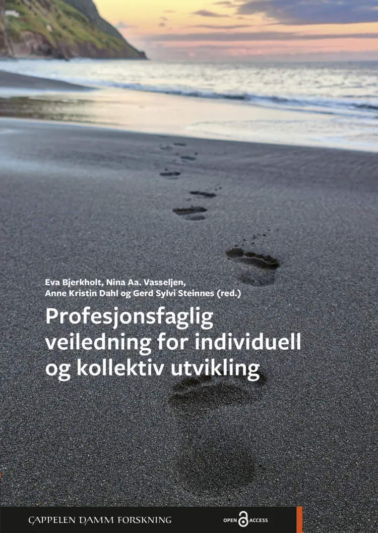 Omslag Profesjonsfaglig veiledning for individuell og kollektiv utvikling av Eva Bjerkholt, Nina Aa. Vasseljen, Anne Kristin Dahl og Gerd Sylvi Steinnes (red.) (Heftet)