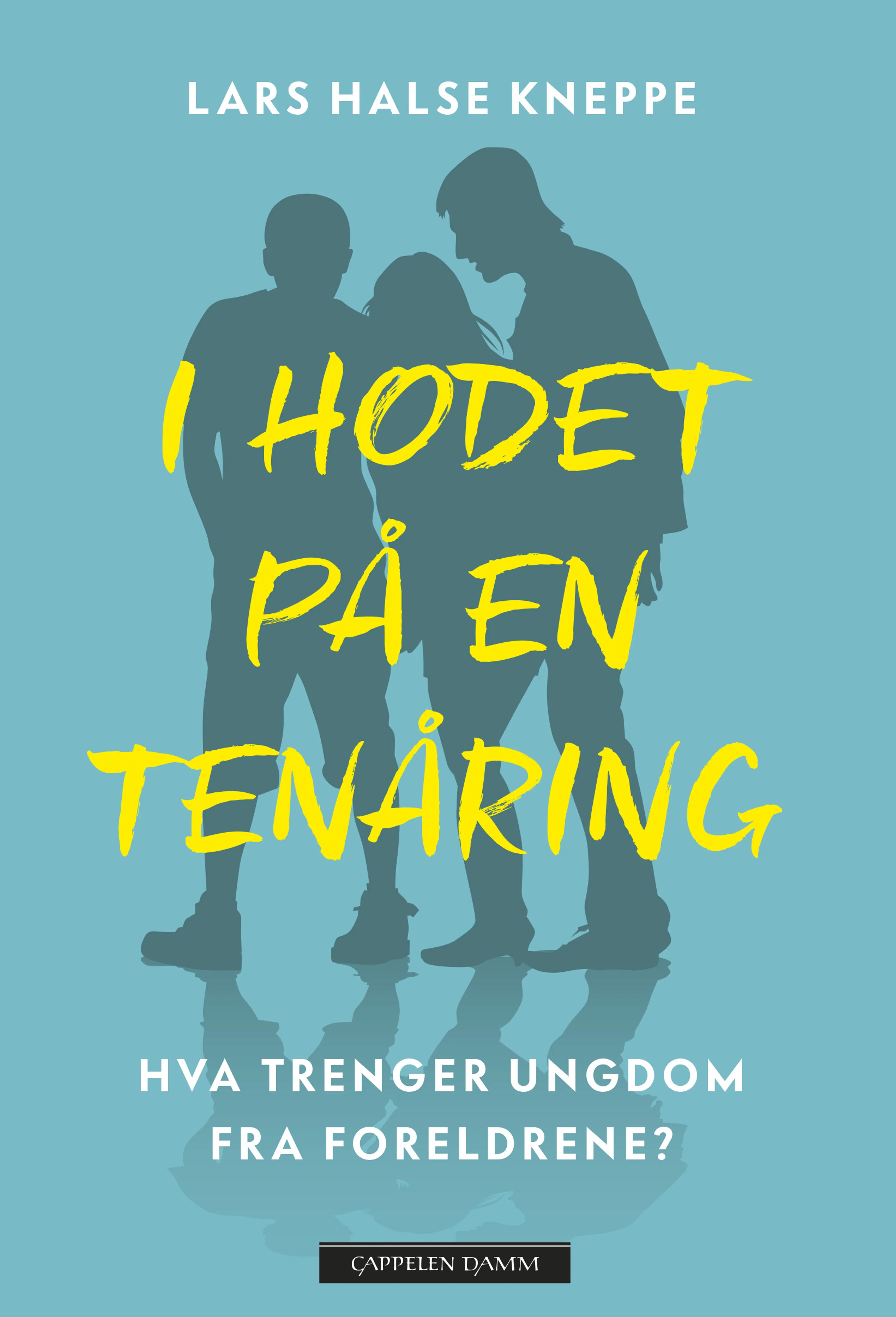 Omslag I hodet på en tenåring av Lars Halse Kneppe (Innbundet)