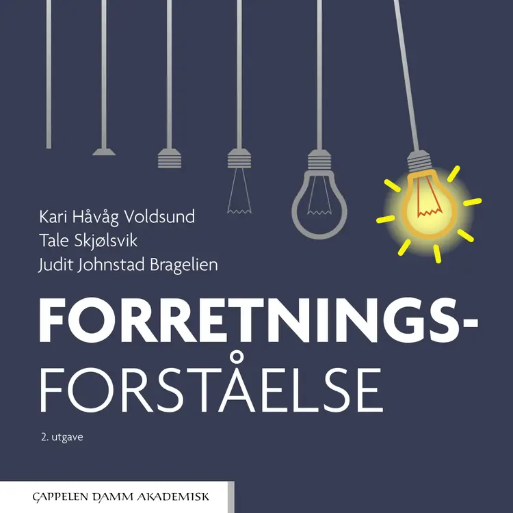 Omslag Forretningsforståelse av Kari Håvåg Voldsund, Tale Skjølsvik og Judit Bragelien (Heftet)