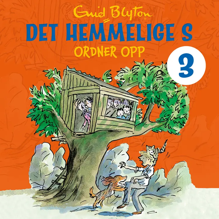 Omslag Det hemmelige S ordner opp av Enid Blyton (Lydbok)