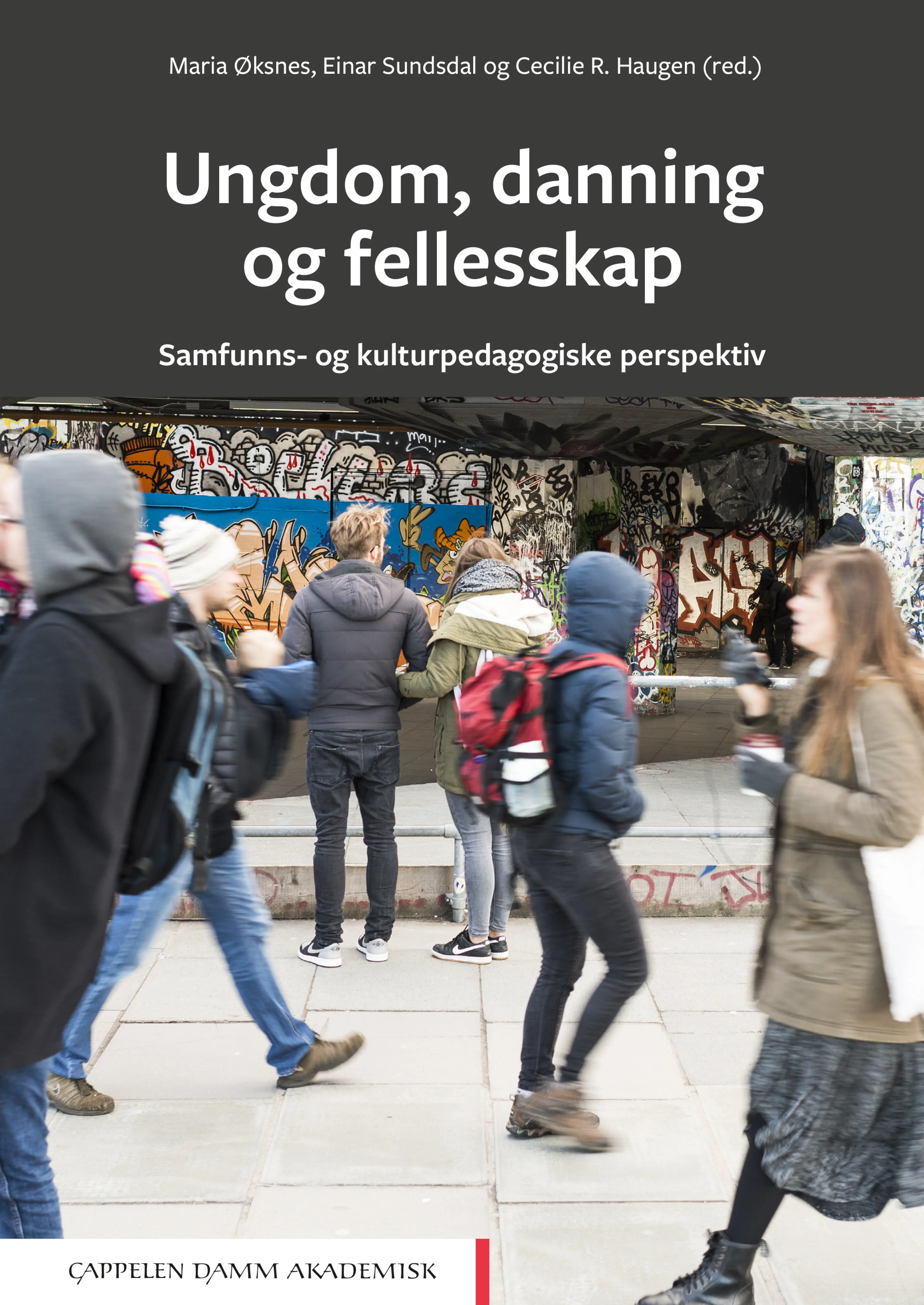 Omslag Ungdom, danning og fellesskap av Maria Øksnes, Einar Sundsdal og Cecilie R. Haugen (red.) (Heftet)