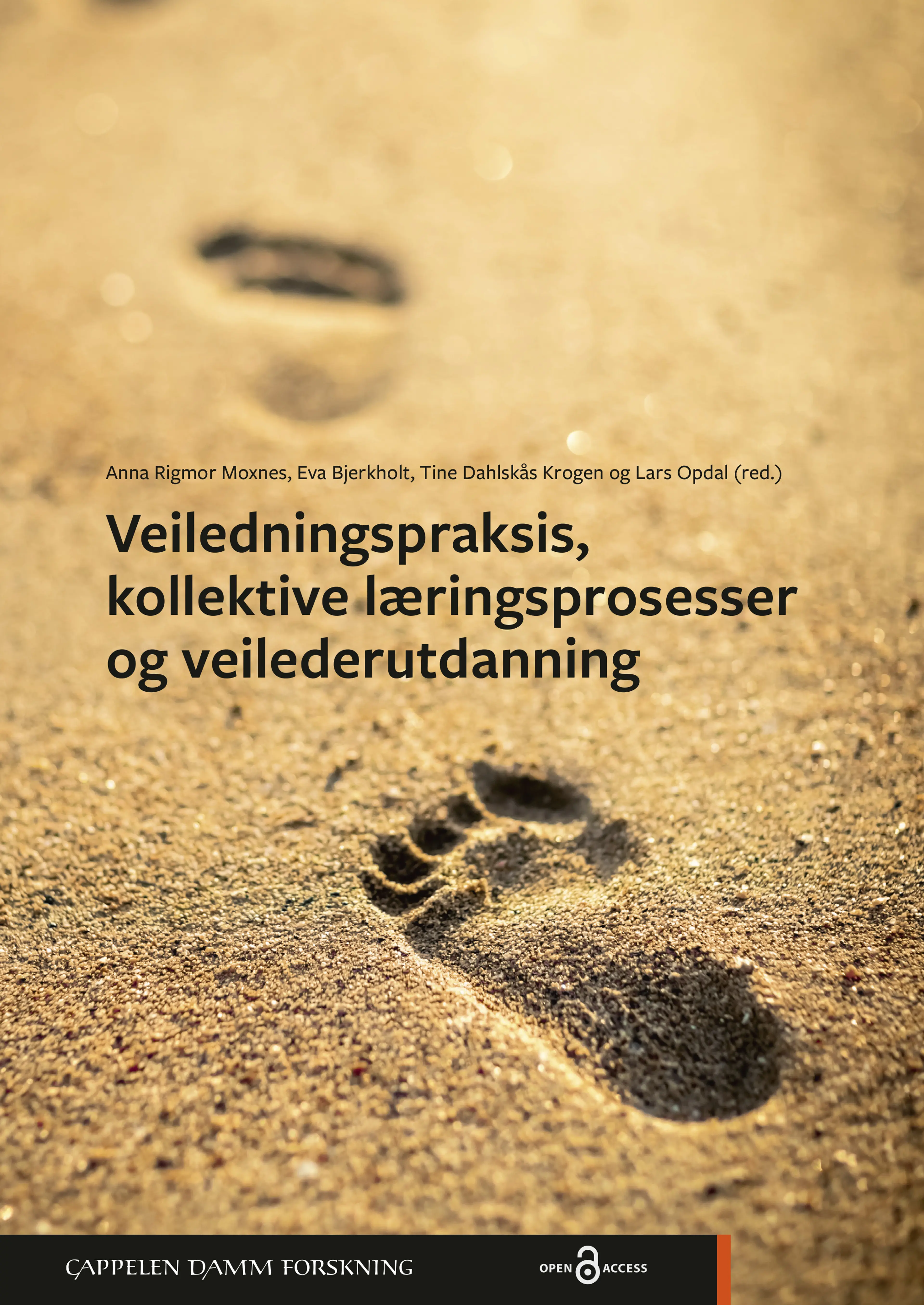 Omslag Veiledningspraksis, kollektive læringsprosesser og veilederutdanning av Anna Rigmor Moxnes, Eva Bjerkholt, Tine Dahlskås Krogen og Lars Opdal (red.) (Ebok)