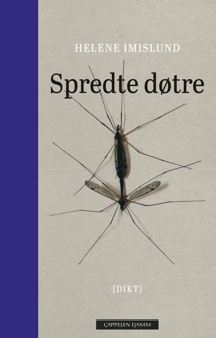 Omslag Spredte døtre av Helene Imislund (Ebok)