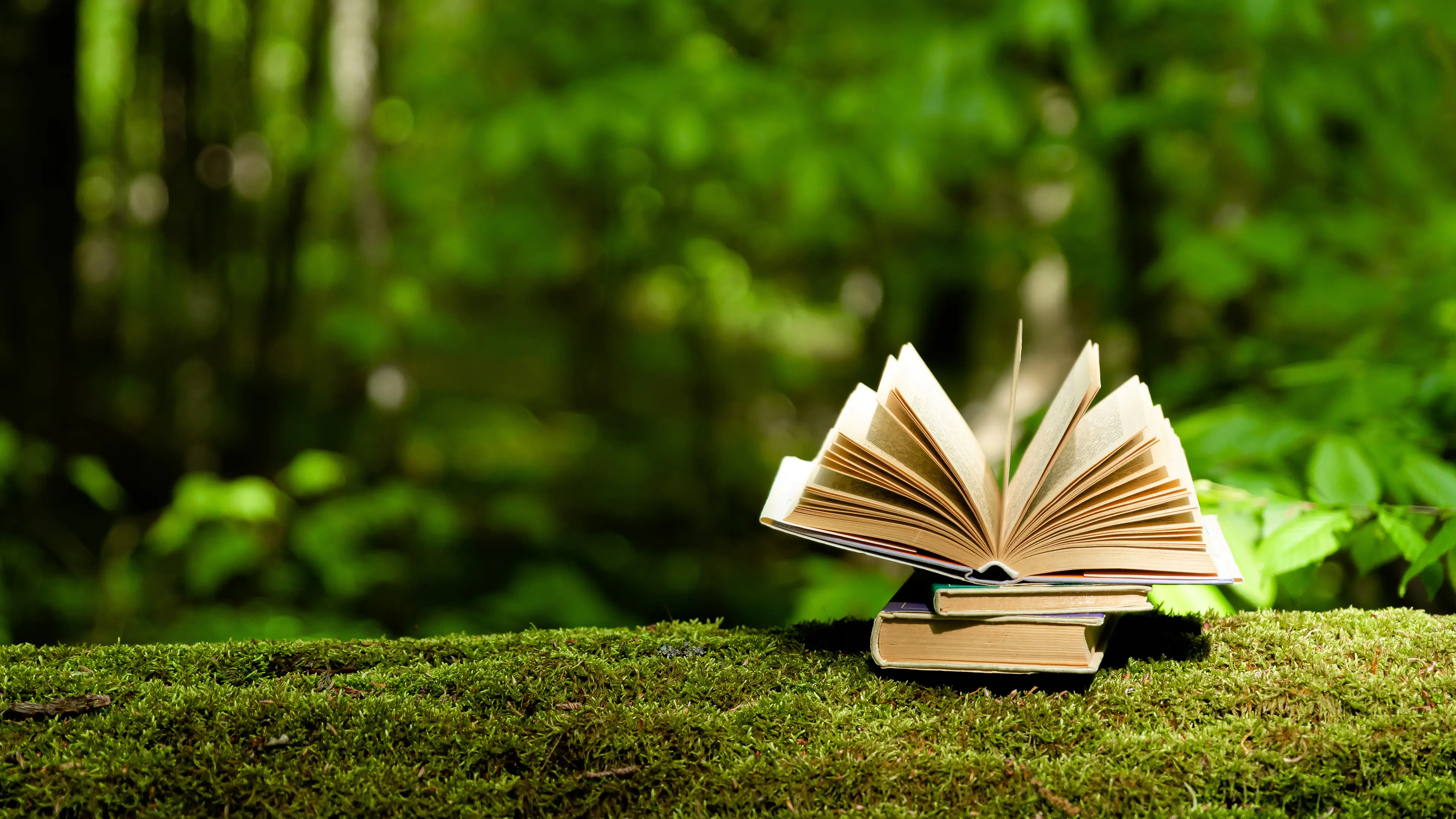 En oppslått bok i en skog