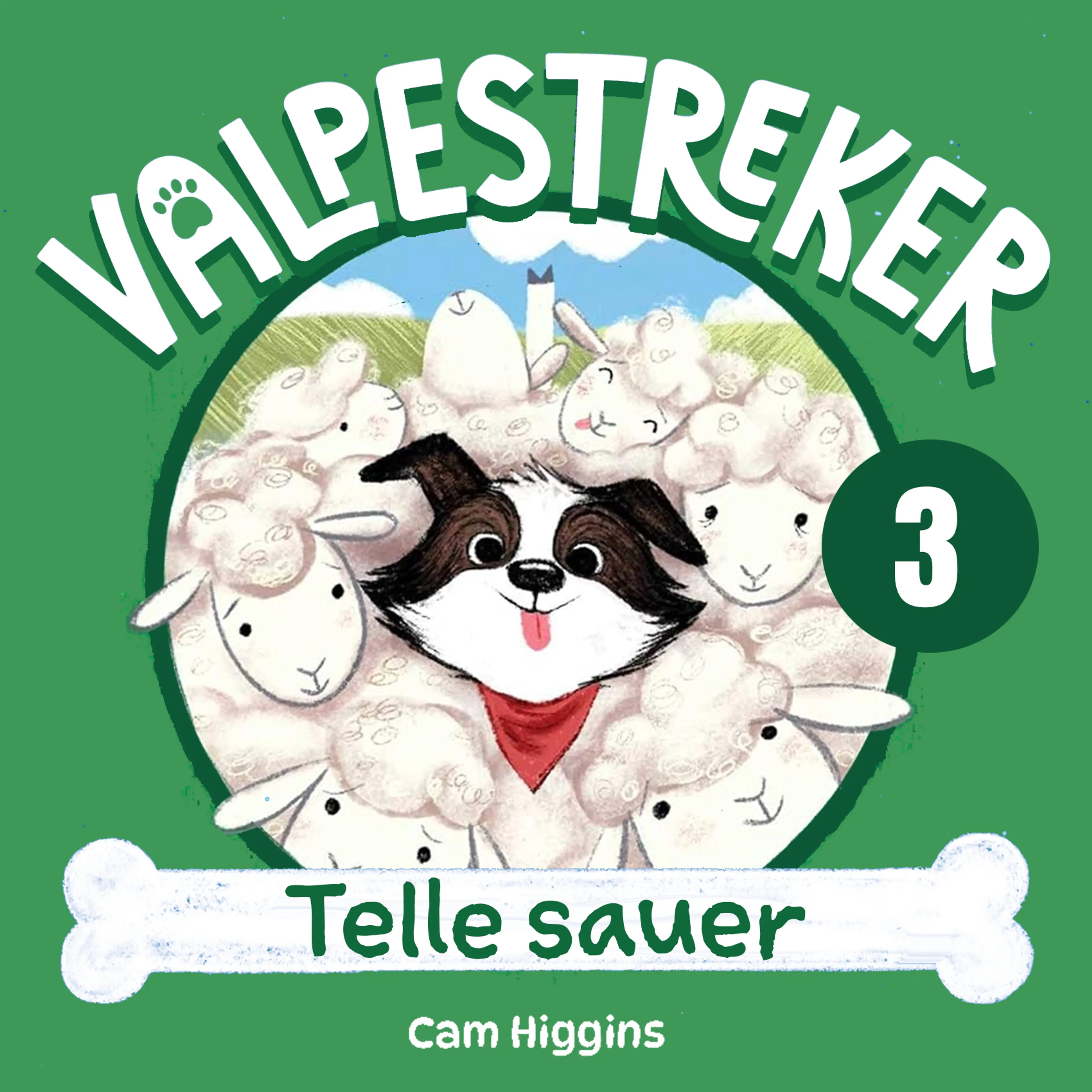 Omslag Telle sauer av Cam Higgins (Lydbok)