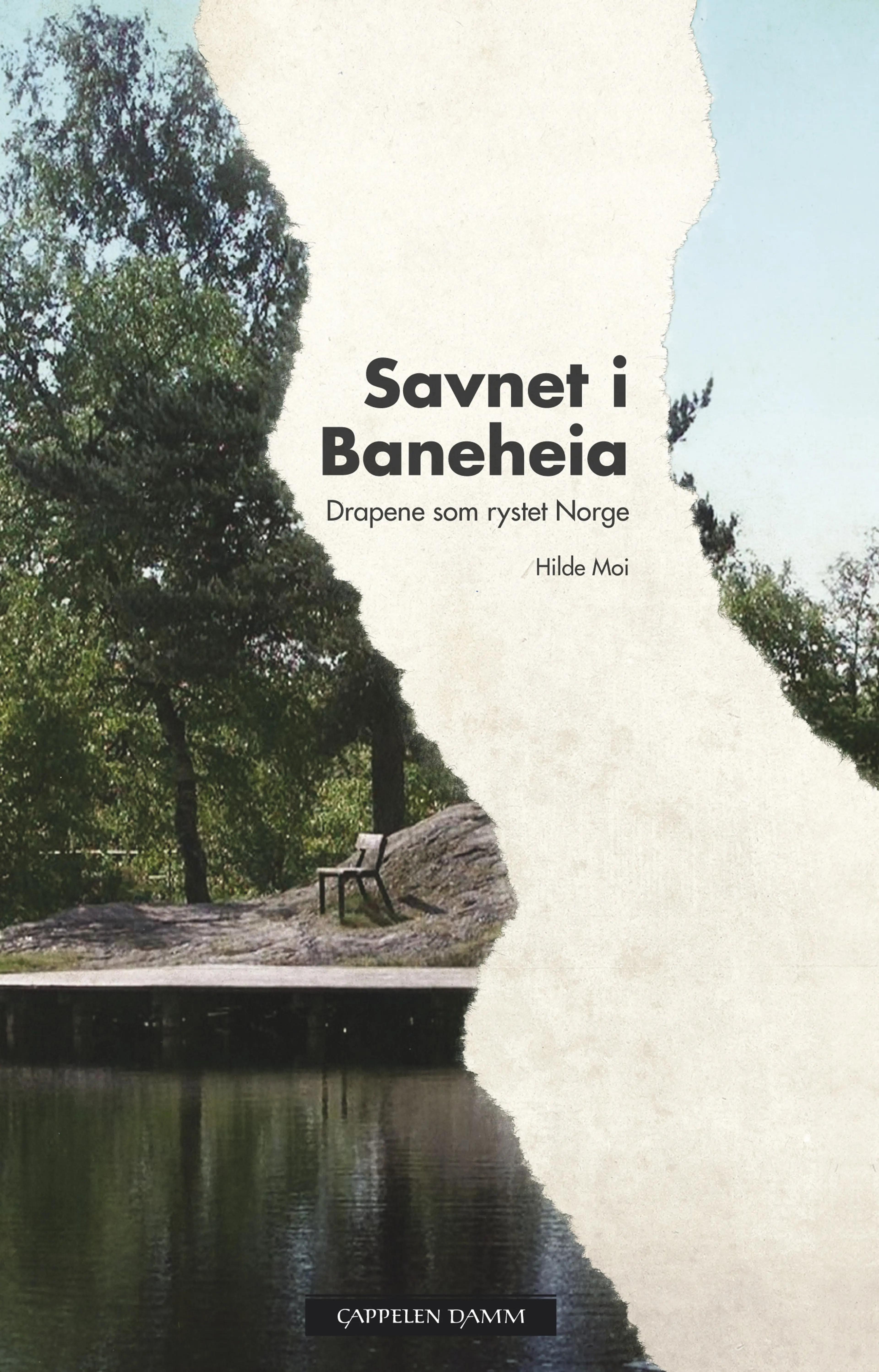 Omslag Savnet i Baneheia av Hilde Moi (Innbundet)