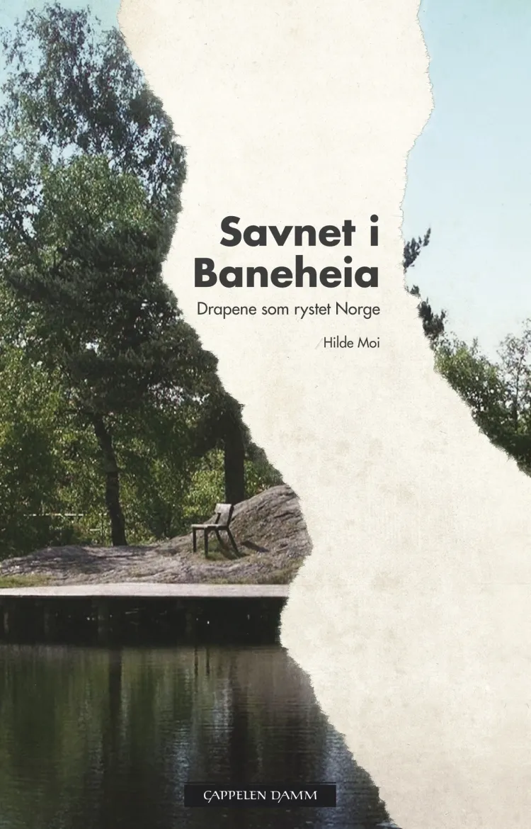 Omslag Savnet i Baneheia av Hilde Moi (Innbundet)