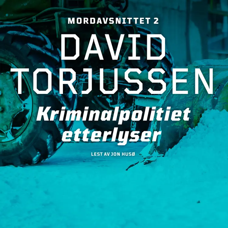 Omslag Kriminalpolitiet etterlyser av David Torjussen (Nedlastbar lydbok)