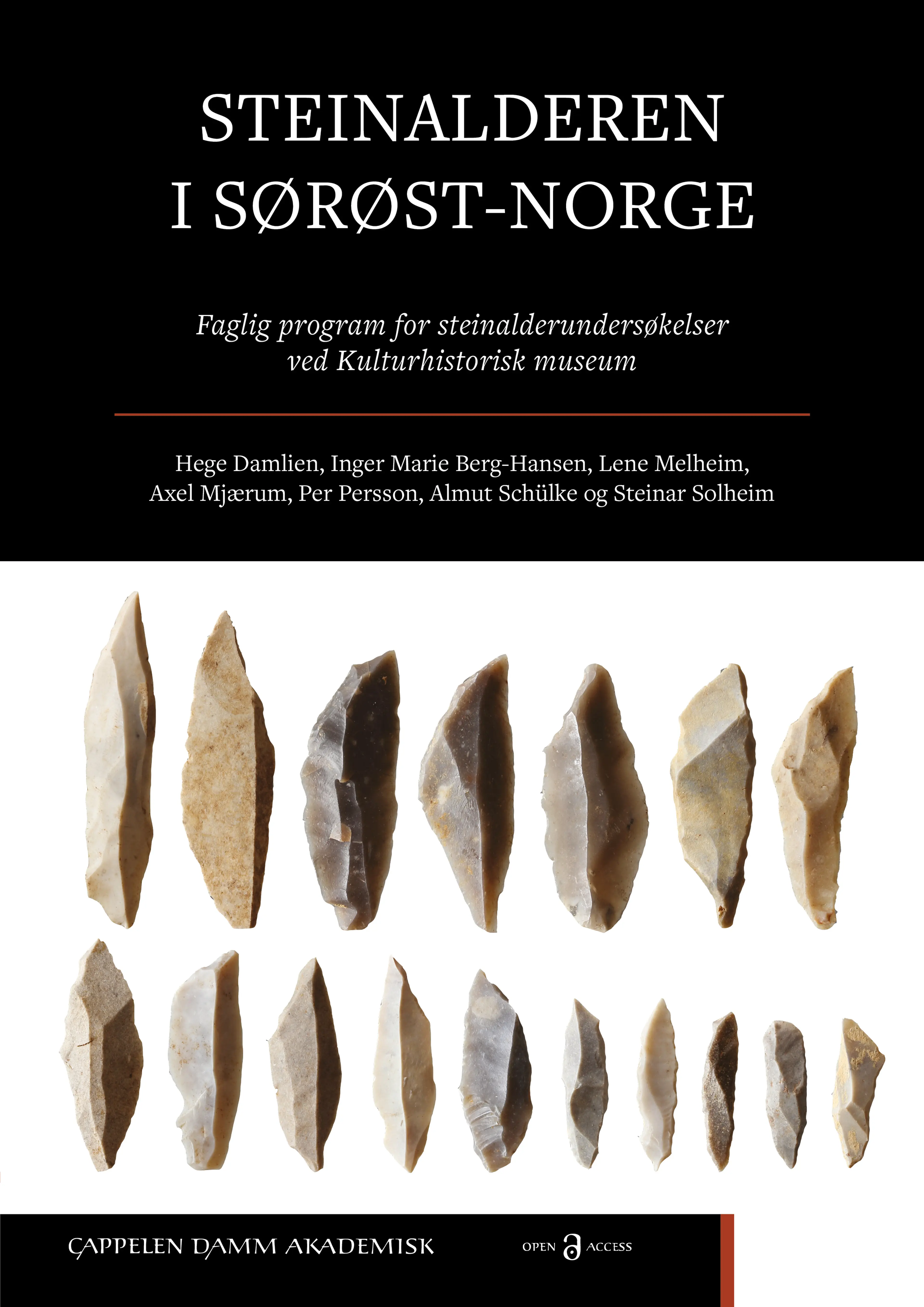 Omslag Steinalderen i Sørøst-Norge av Damlien, Berg-Hansen, Melheim, Mjærum, Persson, Schülke og Solheim (Innbundet)