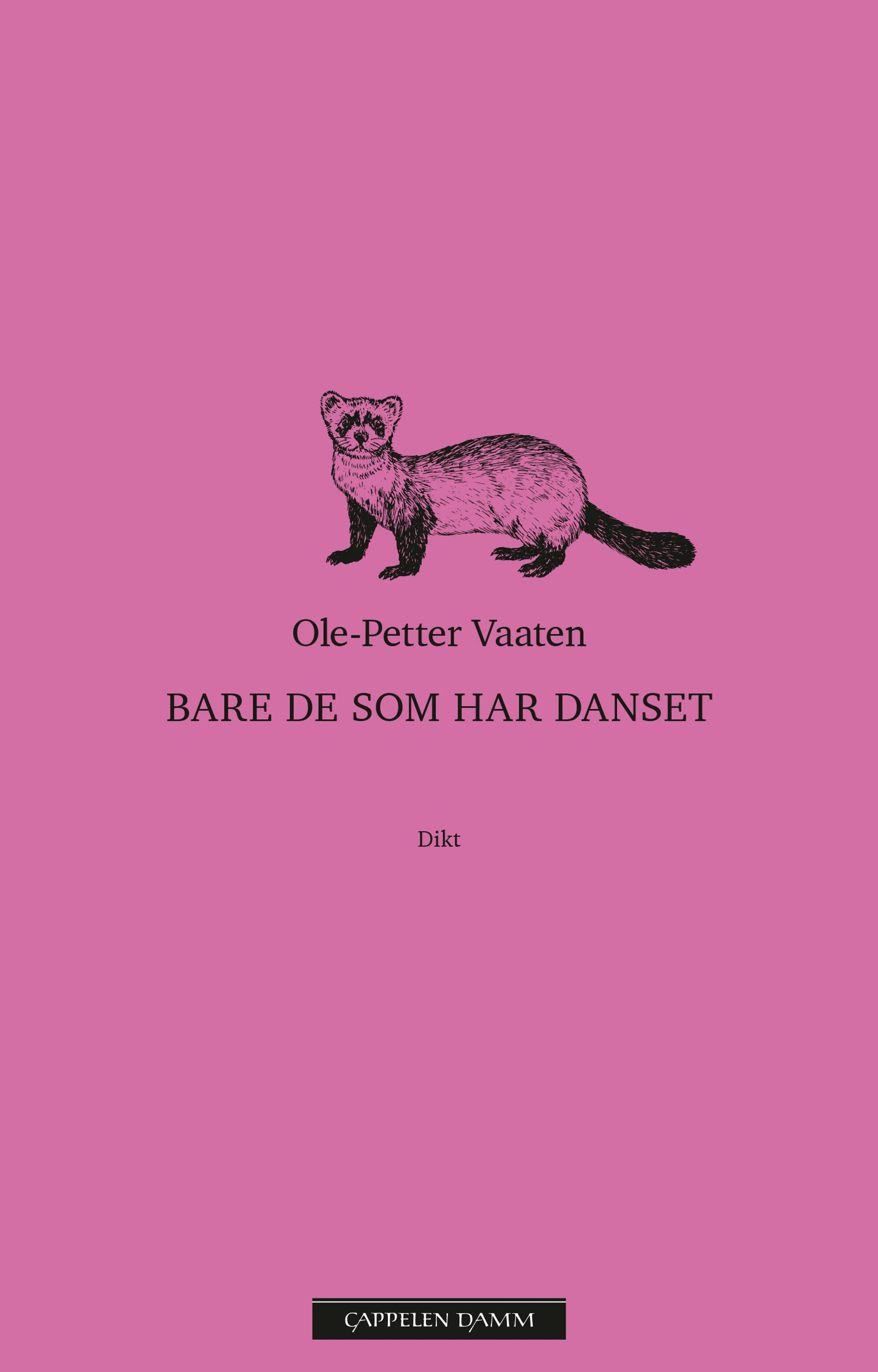 Omslag Bare de som har danset av Ole-Petter Vaaten (Innbundet)