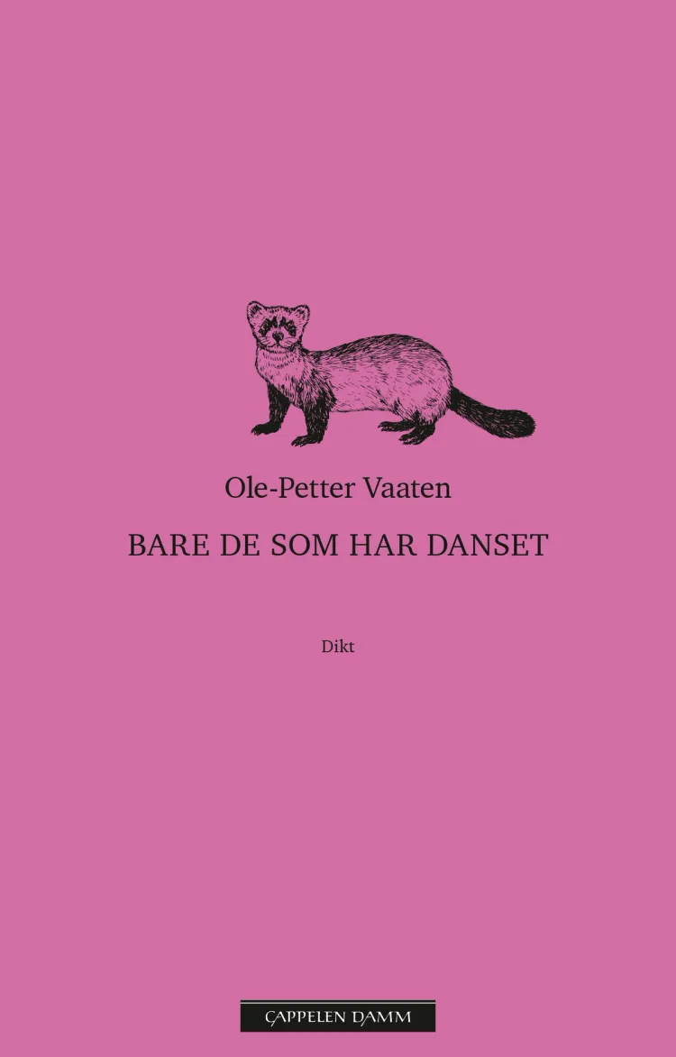 Omslag Bare de som har danset av Ole-Petter Vaaten (Innbundet)