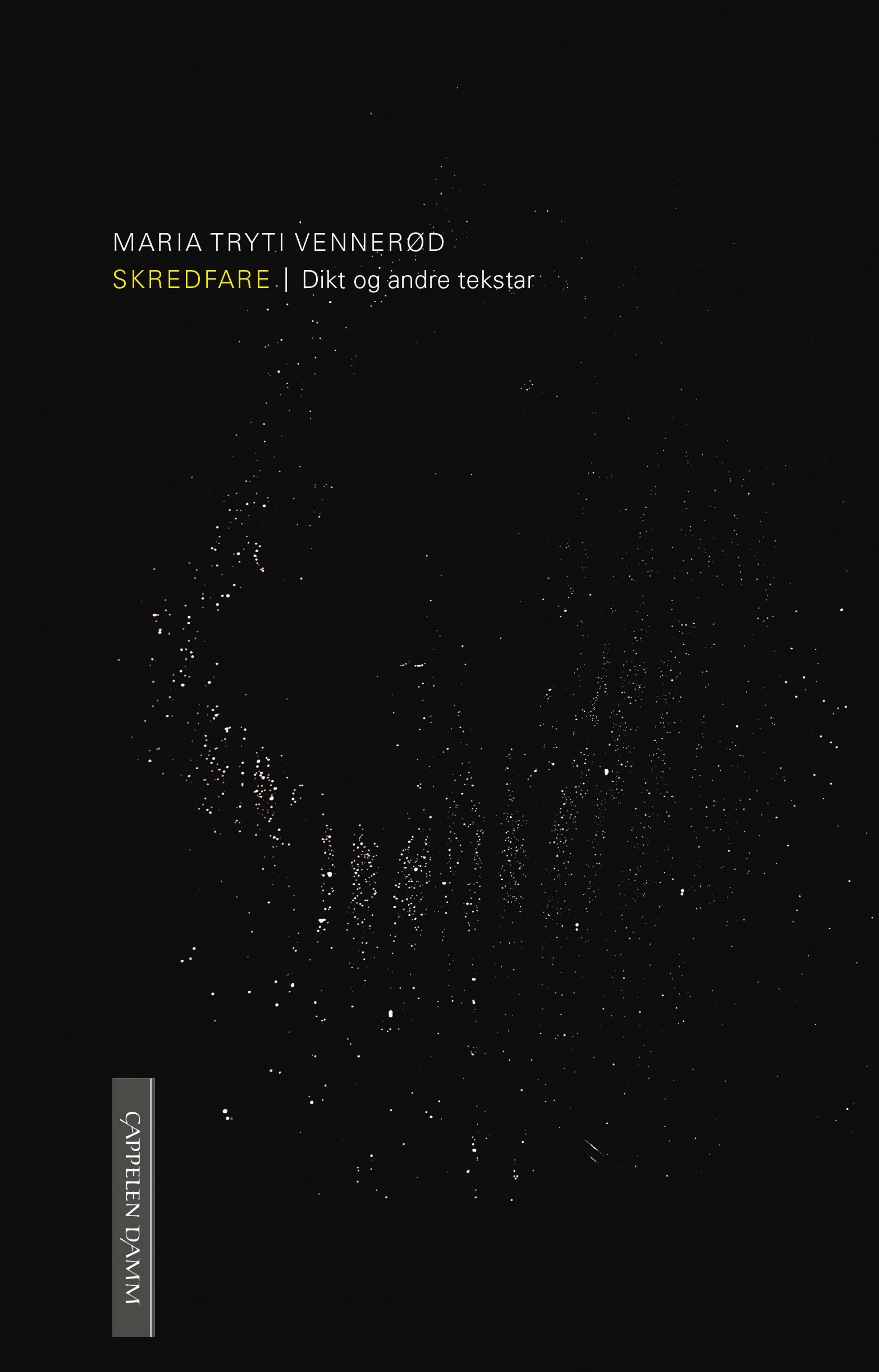 Omslag Skredfare av Maria Tryti Vennerød (Ebok)