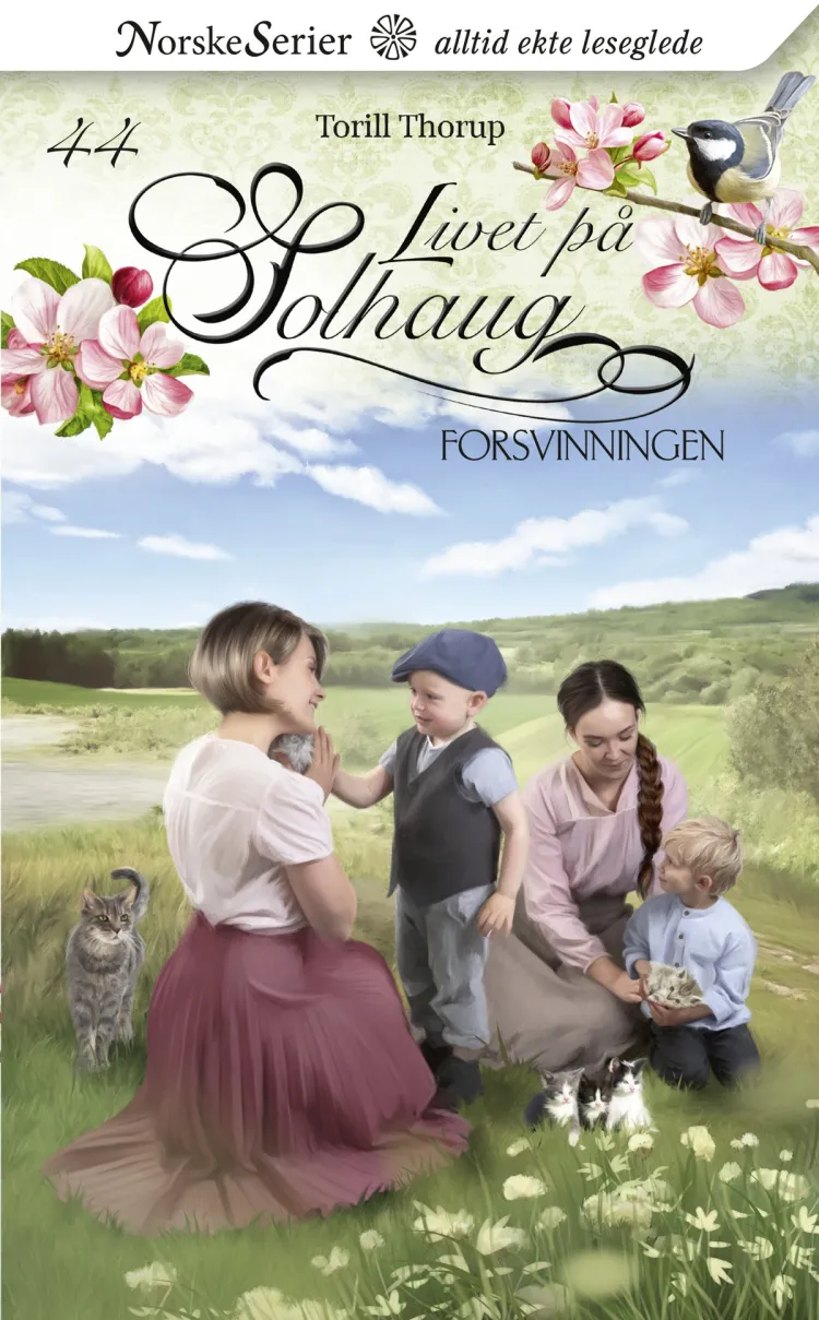 Omslag Forsvinningen av Torill Thorup (Ebok)
