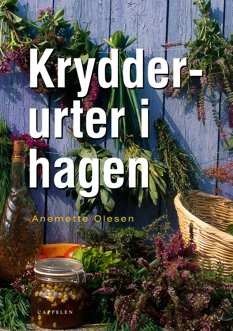 Omslag Krydderurter i hagen av Anemette Olesen (Innbundet)