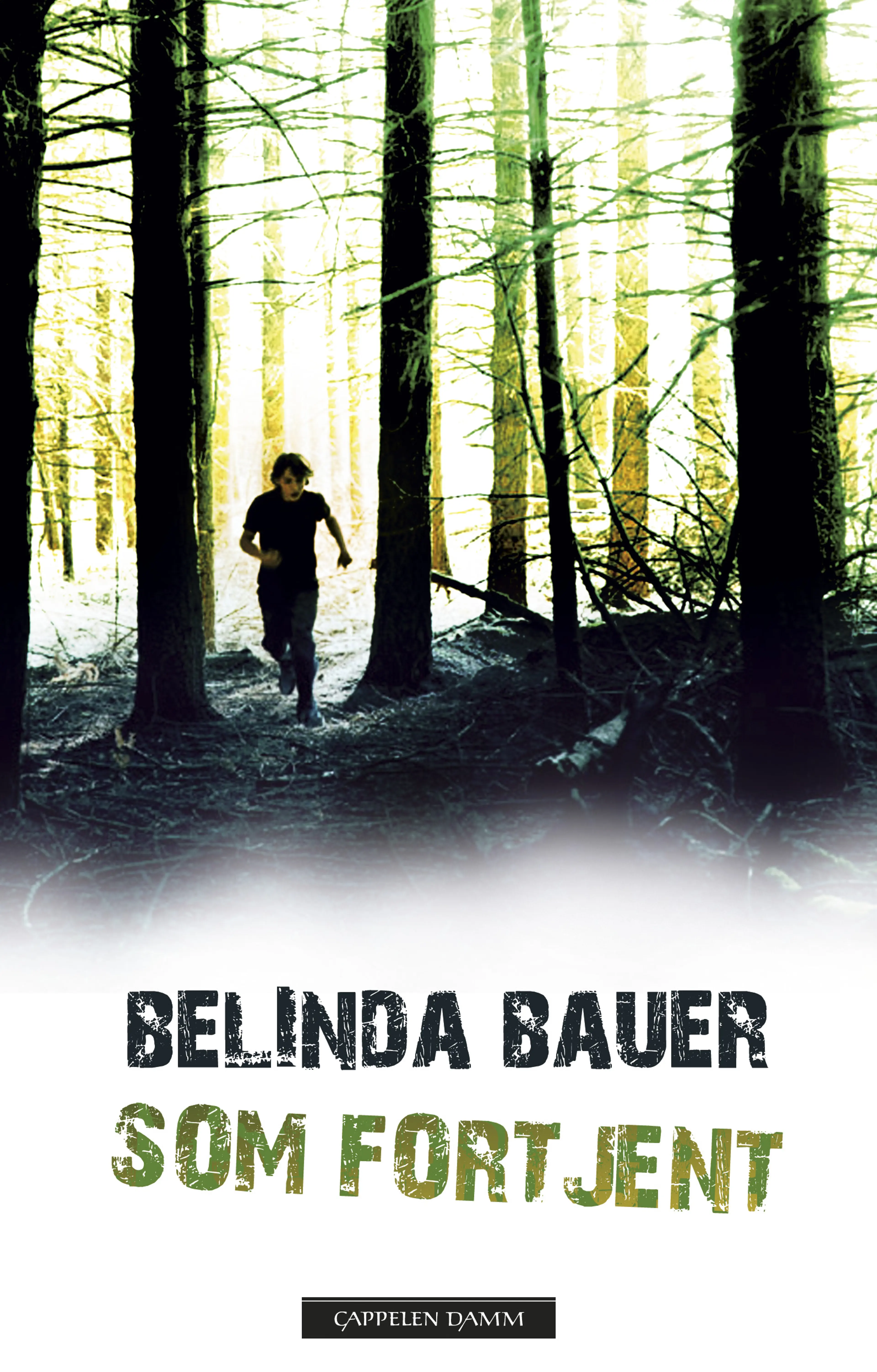 Omslag Som fortjent av Belinda Bauer (Innbundet)
