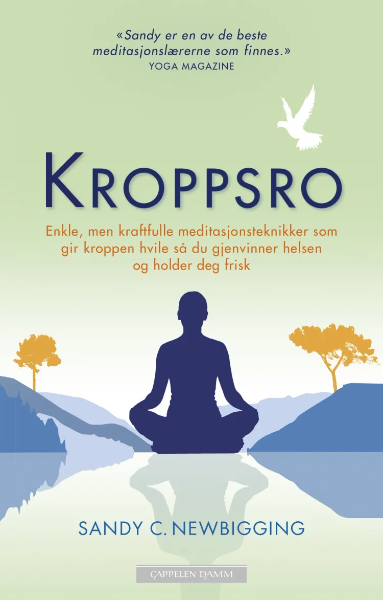 Omslag Kroppsro av Sandy Newbigging (Heftet)