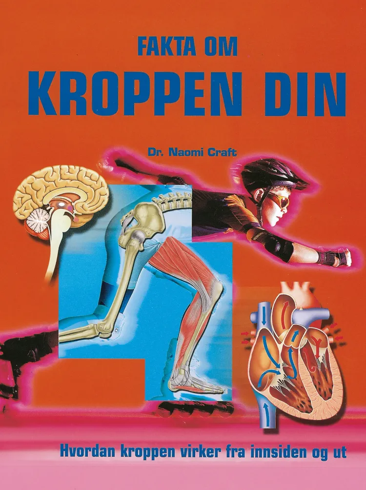 Omslag Fakta om kroppen din av Naomi Craft (Innbundet)
