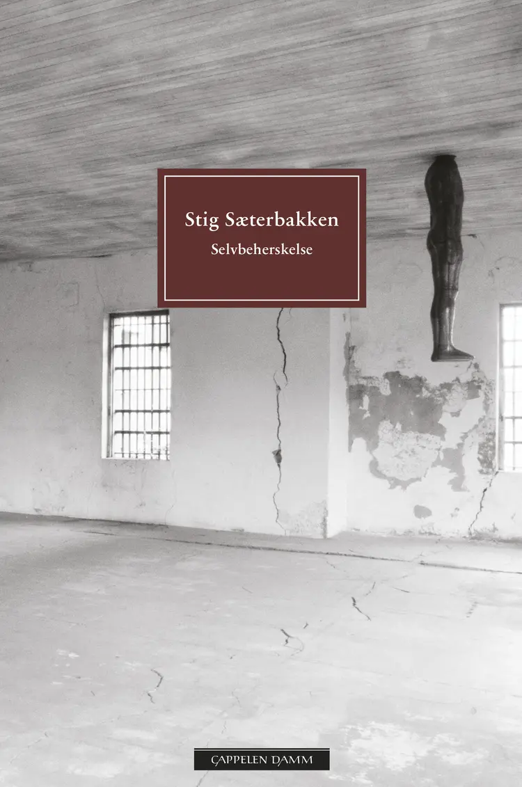 Omslag Selvbeherskelse av Stig Sæterbakken (Heftet)