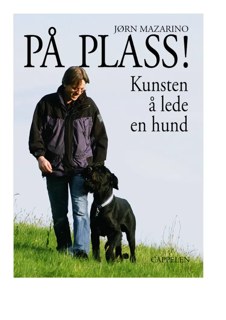 Omslag På plass! av Jørn Mazarino (Innbundet)