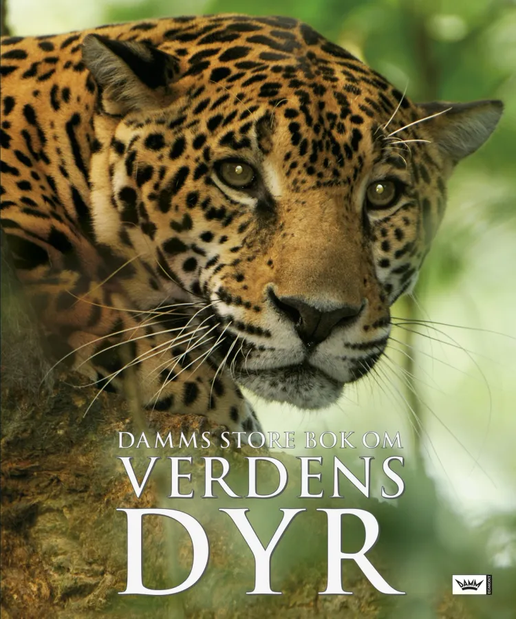 Omslag Damms store bok om verdens dyr (Innbundet)