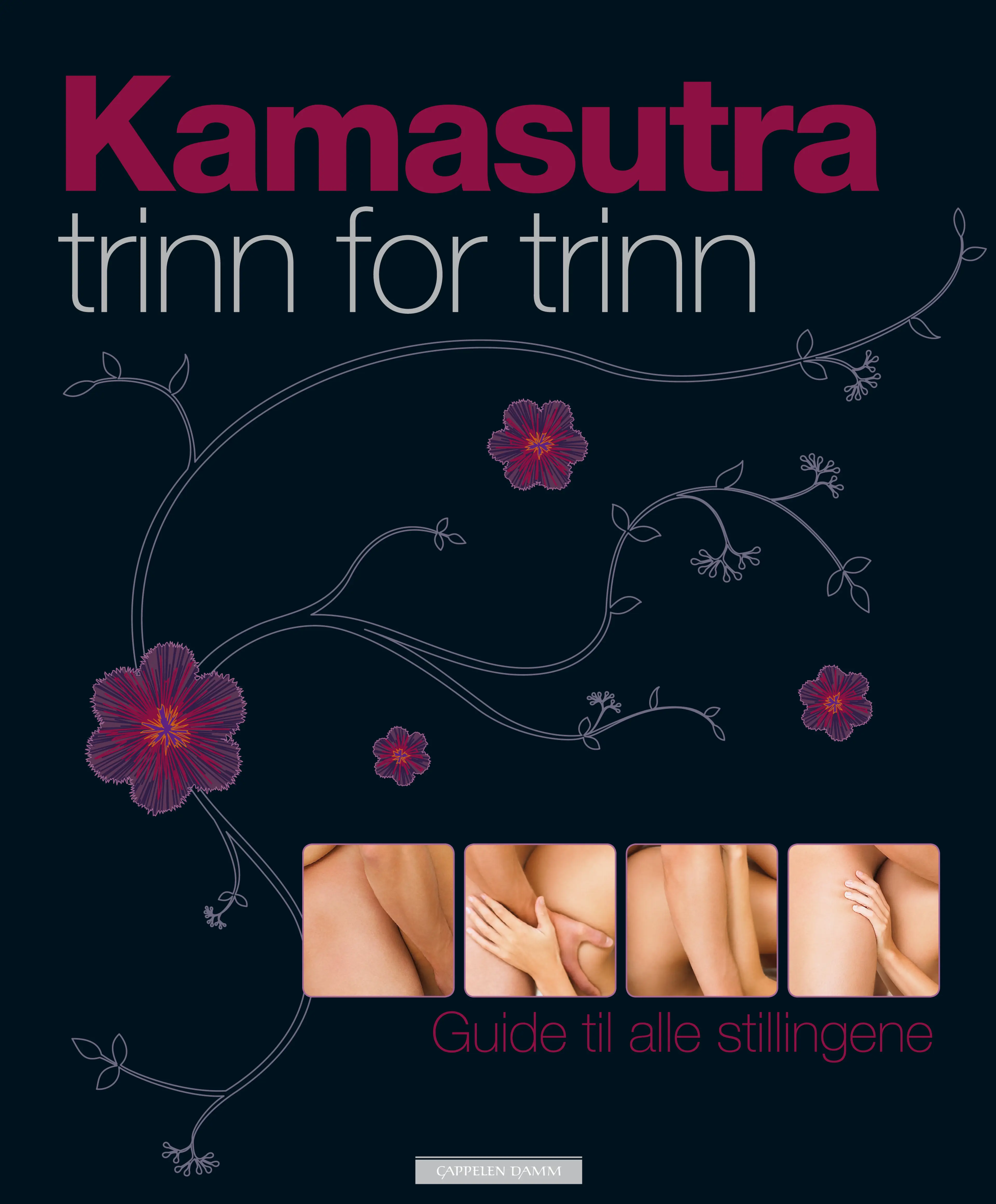 Omslag Kamasutra trinn for trinn (Innbundet)