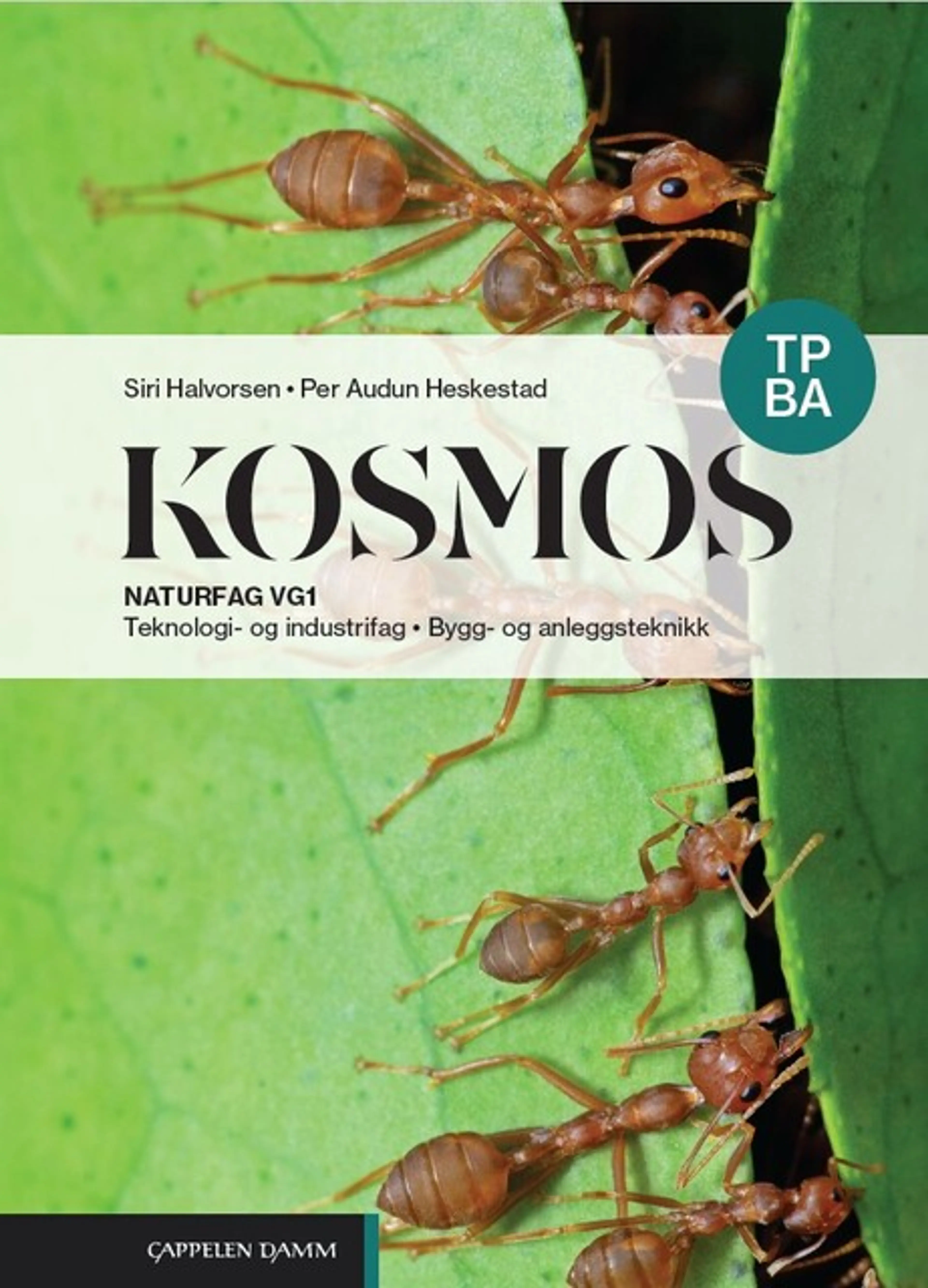 Omslag Kosmos TP BA (2026) av Siri Halvorsen og Per Audun Heskestad (Innbundet)