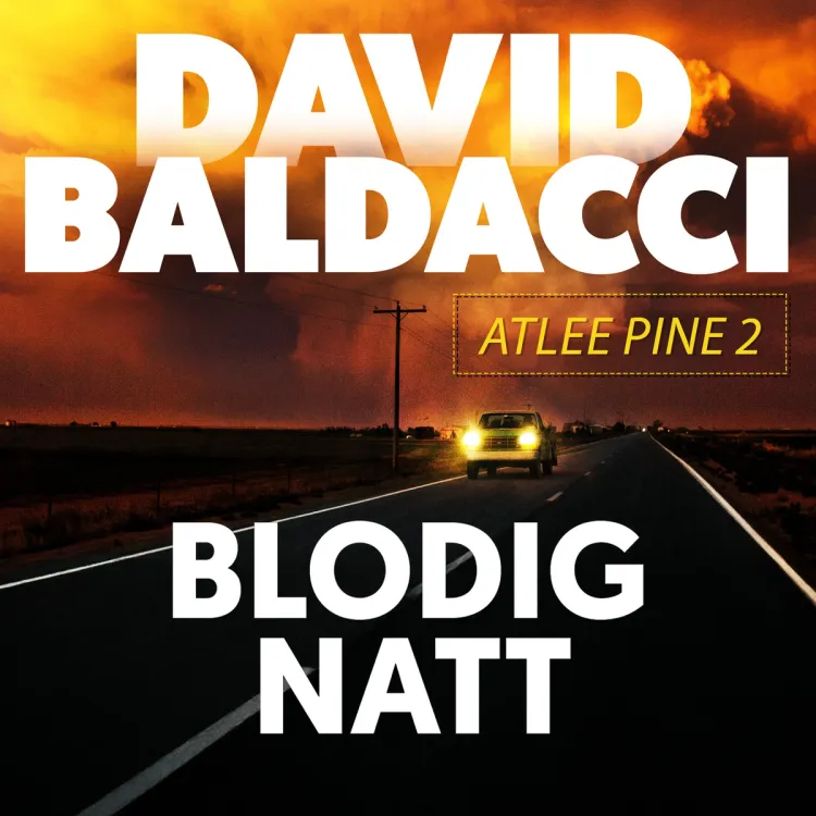 Omslag Blodig natt av David Baldacci (Lydbok)
