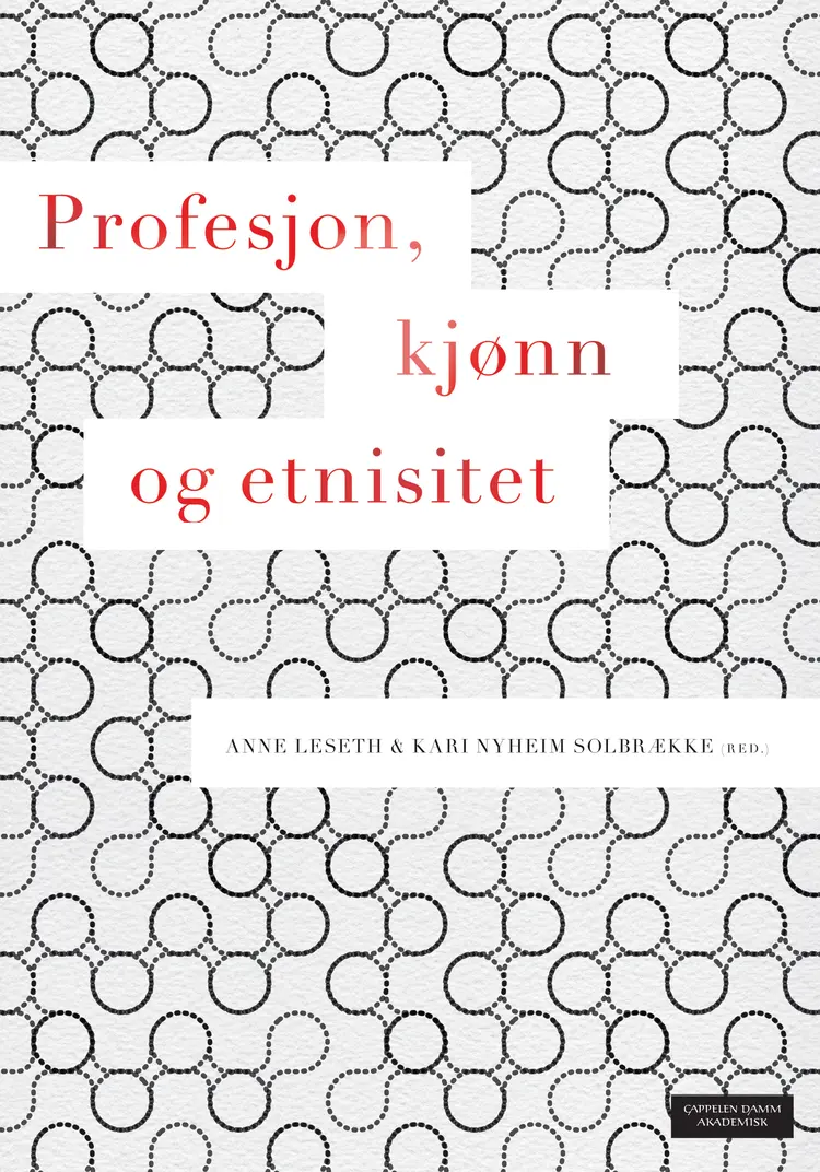 Omslag Profesjon, kjønn og etnisitet av Anne Leseth og Kari Nyheim Solbrække (red.) (Heftet)